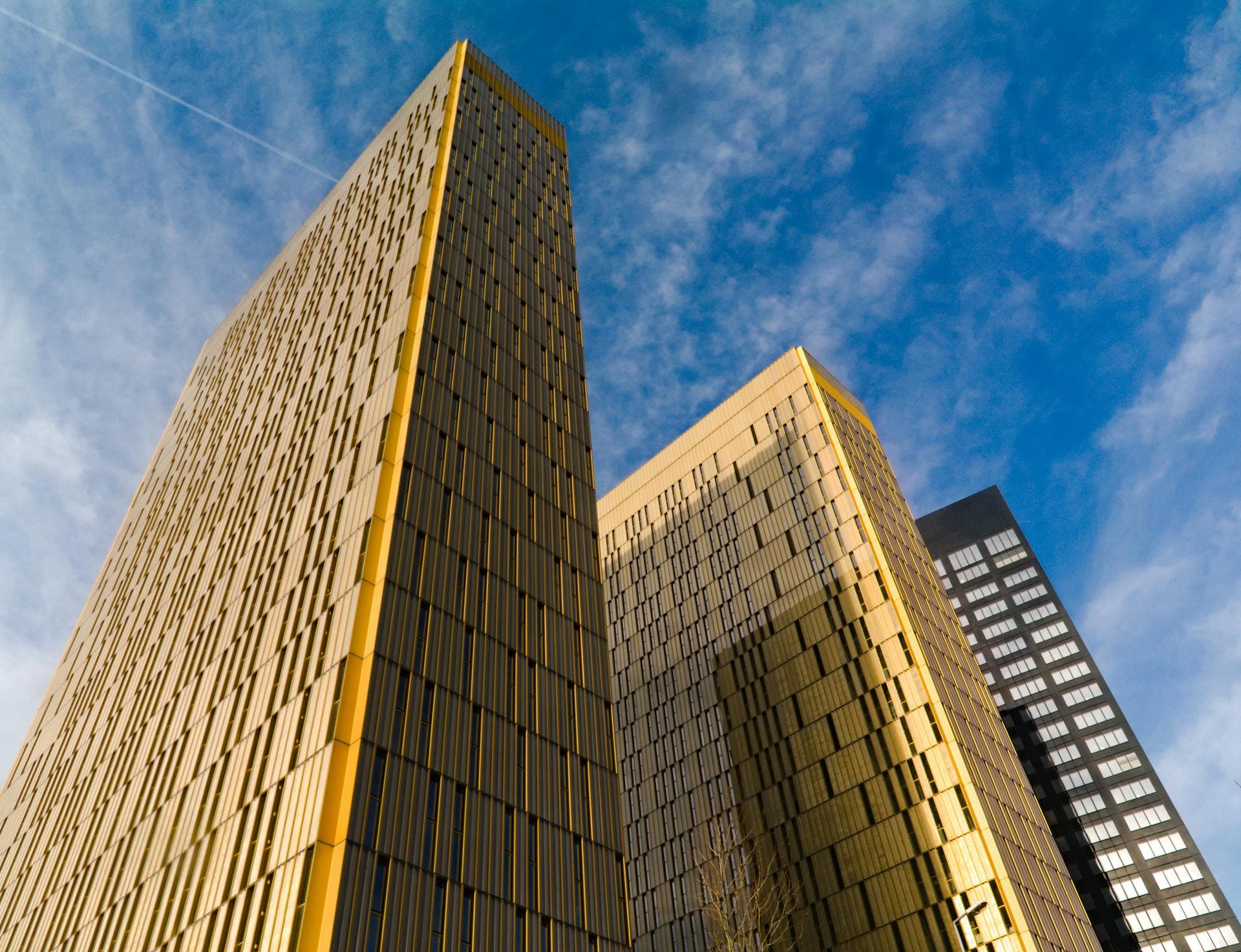 AI & human collaboration